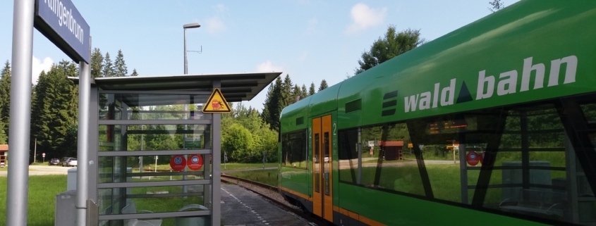 Waldbahn am Haltepunkt Klingenbrunn